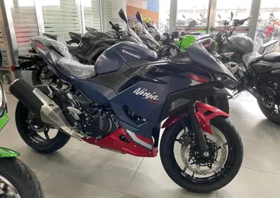 Kawasaki Ninja 500 SE (2024 - 26) - Annuncio 10060572