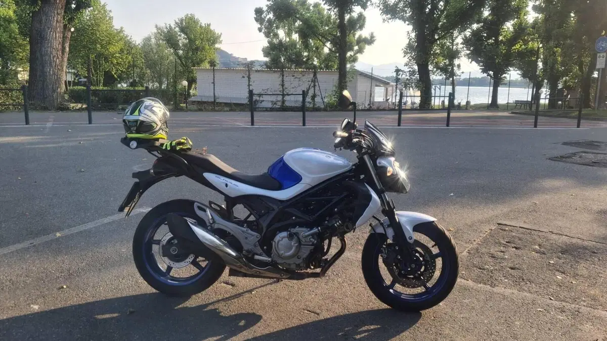 Suzuki Gladius 650 SFV (2009 - 15)  (7)