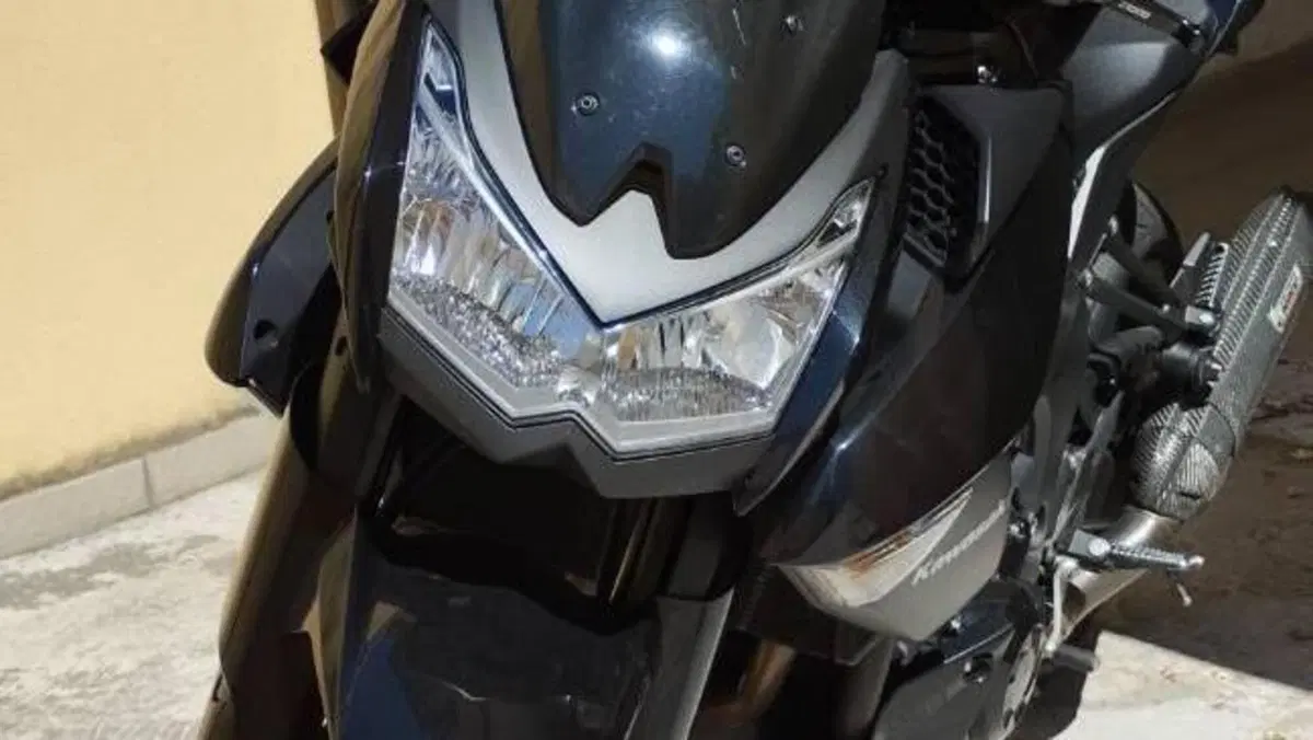 Kawasaki Z 1000 (2010 - 13)  (7)