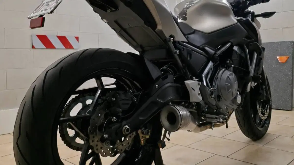 Kawasaki Z 650 (2017 - 19) 