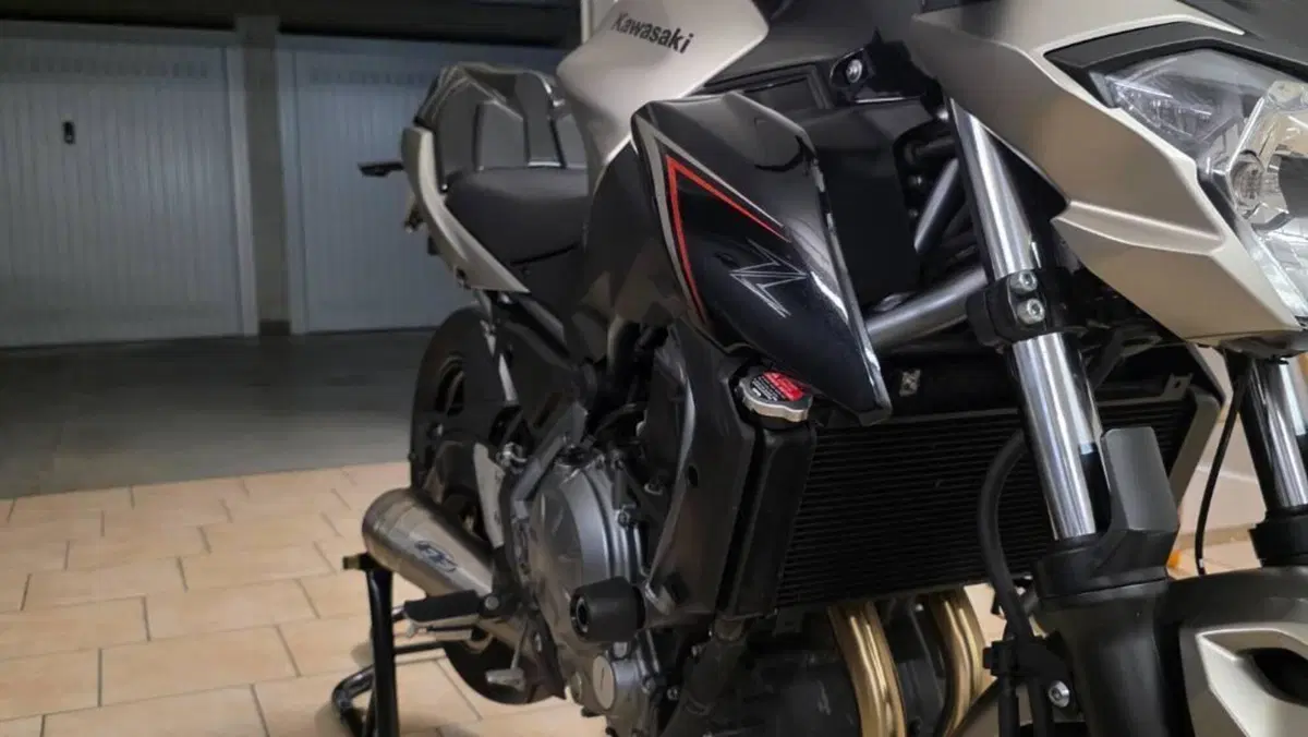 Kawasaki Z 650 (2017 - 19)  (4)