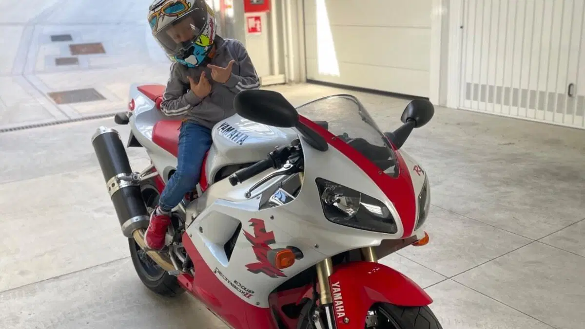 Yamaha   (20)