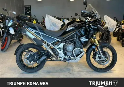 Triumph Tiger 1200 Rally Pro (2022 - 23) - Annuncio 10060680