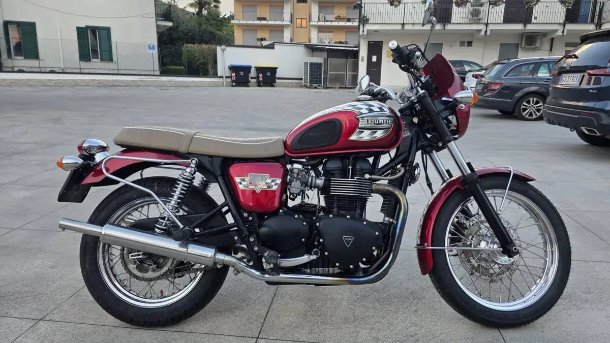 Triumph Bonneville 800 America (2001 - 07)  (2)