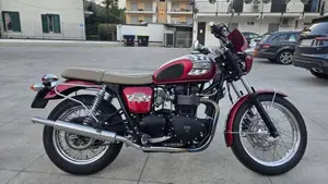 Triumph Bonneville 800 America (2001 - 07)  (2)