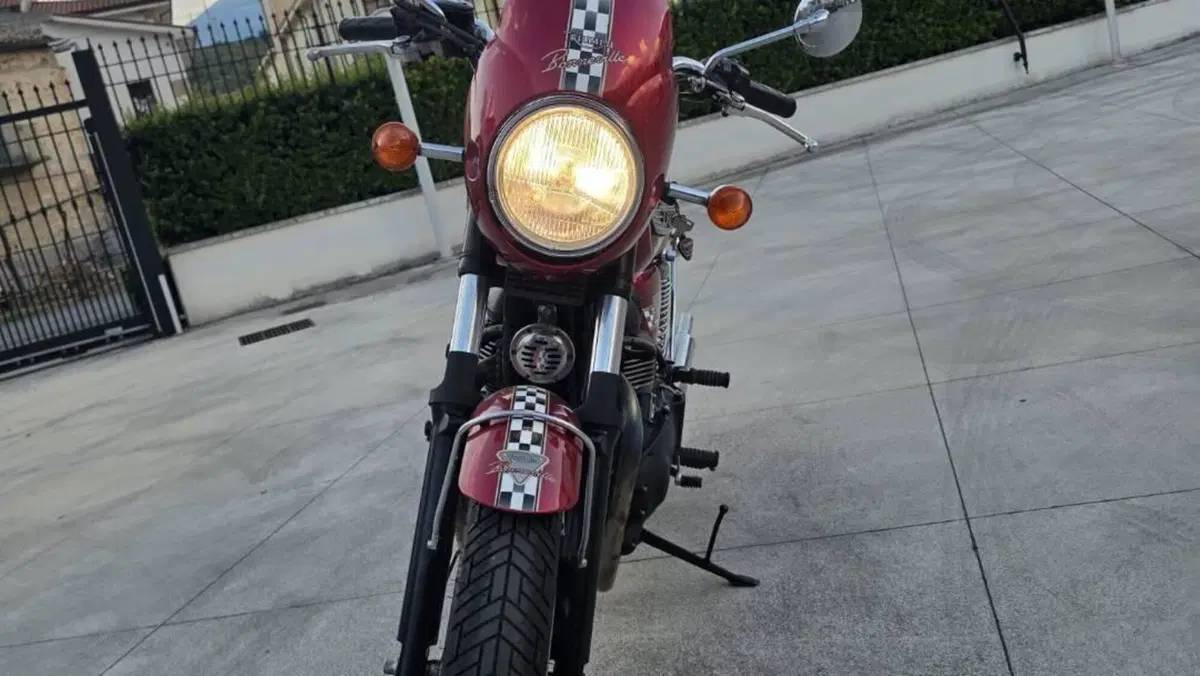 Triumph Bonneville 800 America (2001 - 07)  (3)