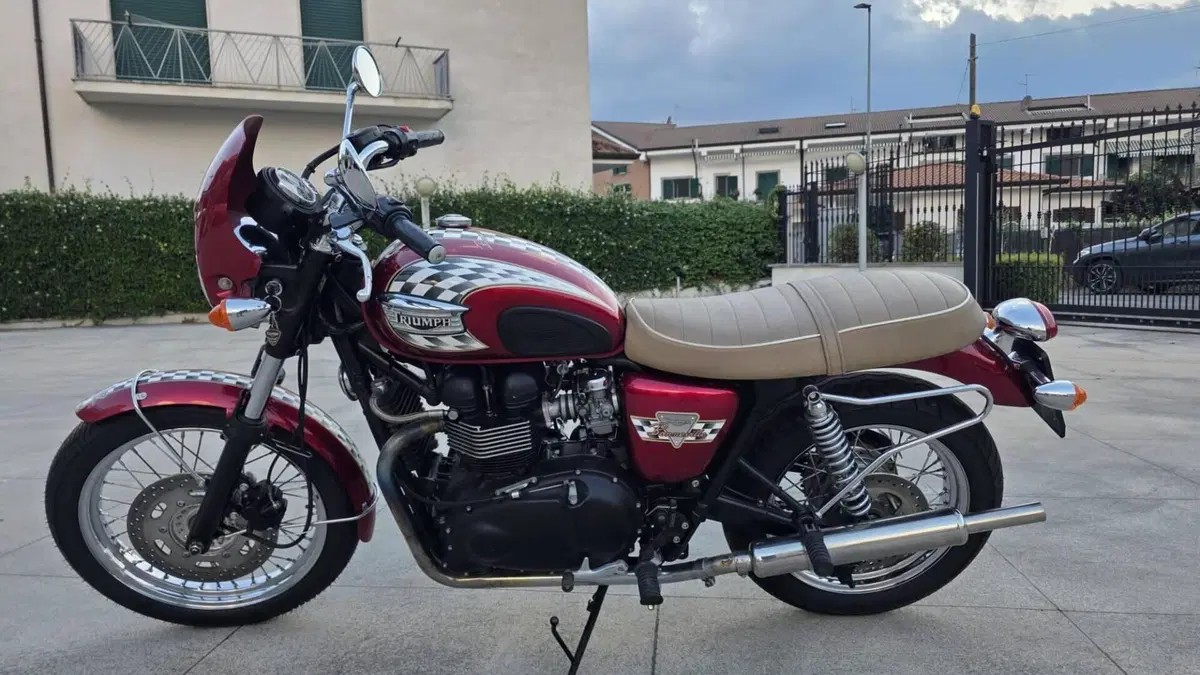 Triumph Bonneville 800 America (2001 - 07)  (4)