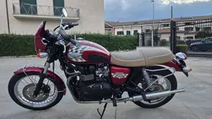 Triumph Bonneville 800 America (2001 - 07)  (4)