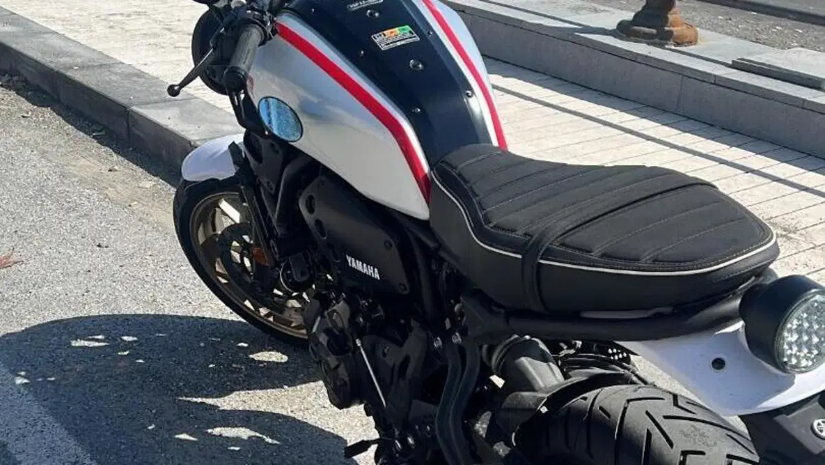 Yamaha XSR 700 XTribute (2022 - 24) 