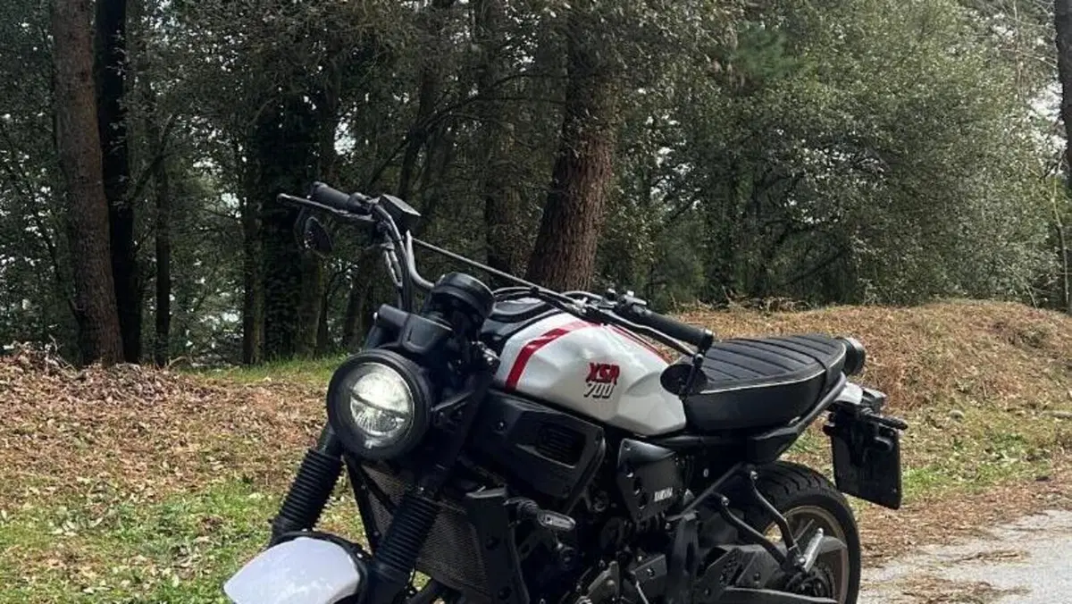 Yamaha XSR 700 XTribute (2022 - 24)  (2)