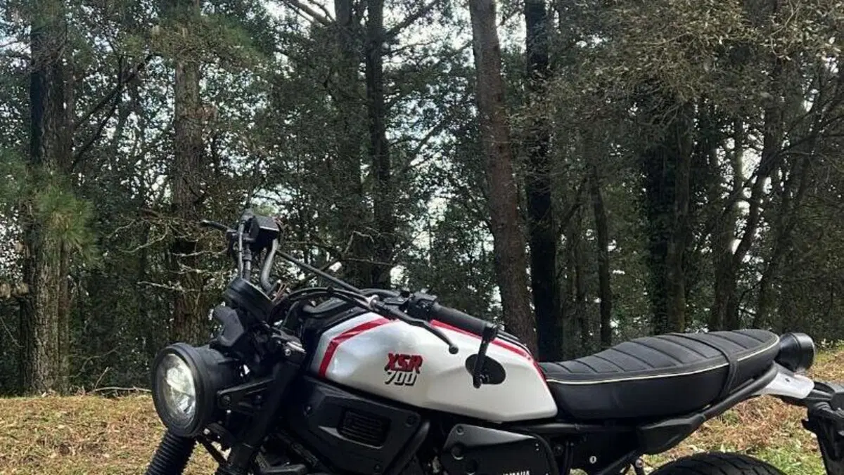 Yamaha XSR 700 XTribute (2022 - 24)  (3)