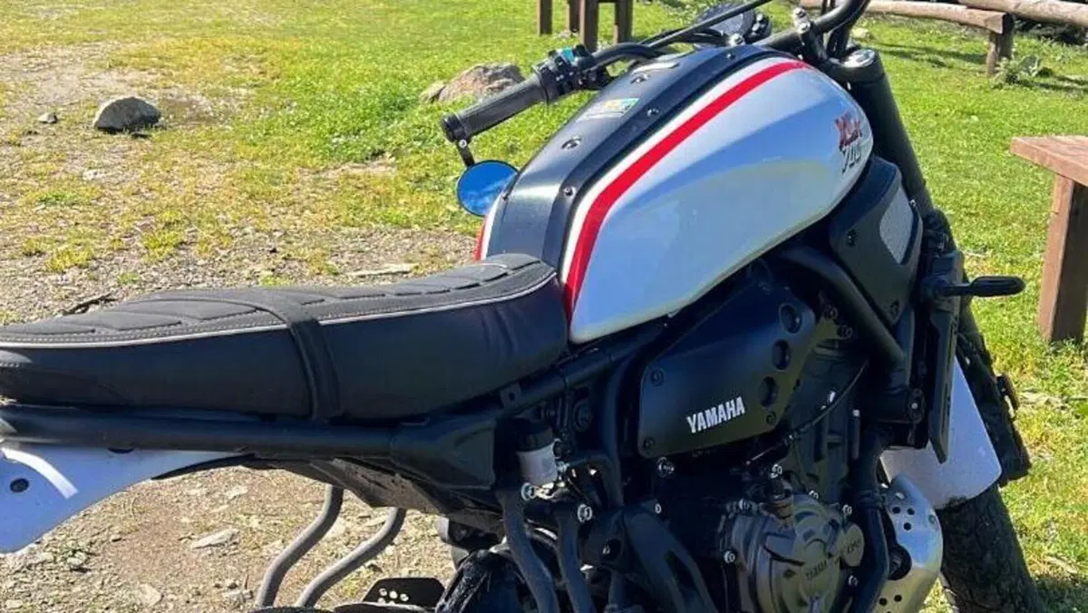 Yamaha XSR 700 XTribute (2022 - 24)  (6)