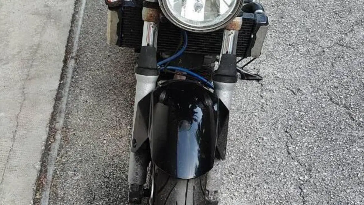 Suzuki SV 650 (2003 - 06)  (3)