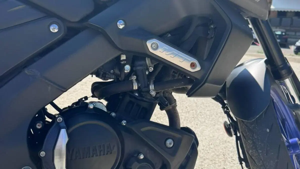 Yamaha MT-125 ABS (2020)  (4)