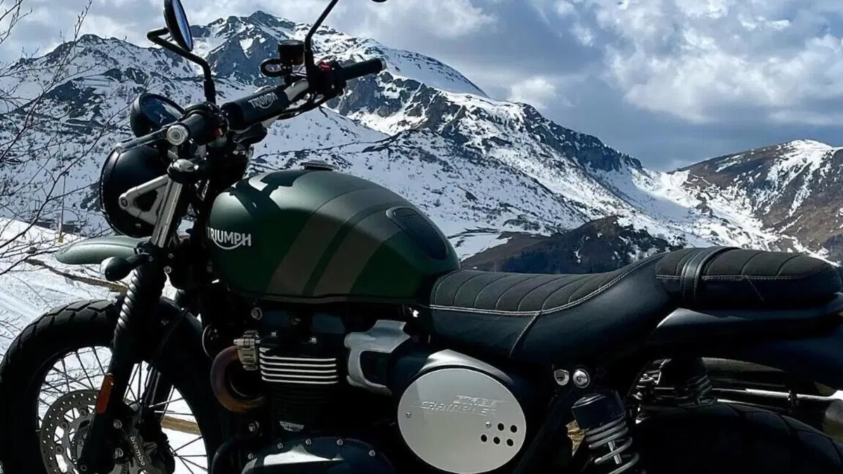 Triumph Street Scrambler 900 (2021 - 22)  (6)