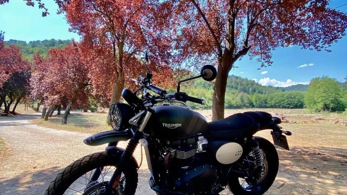 Triumph Street Scrambler 900 (2021 - 22)  (7)