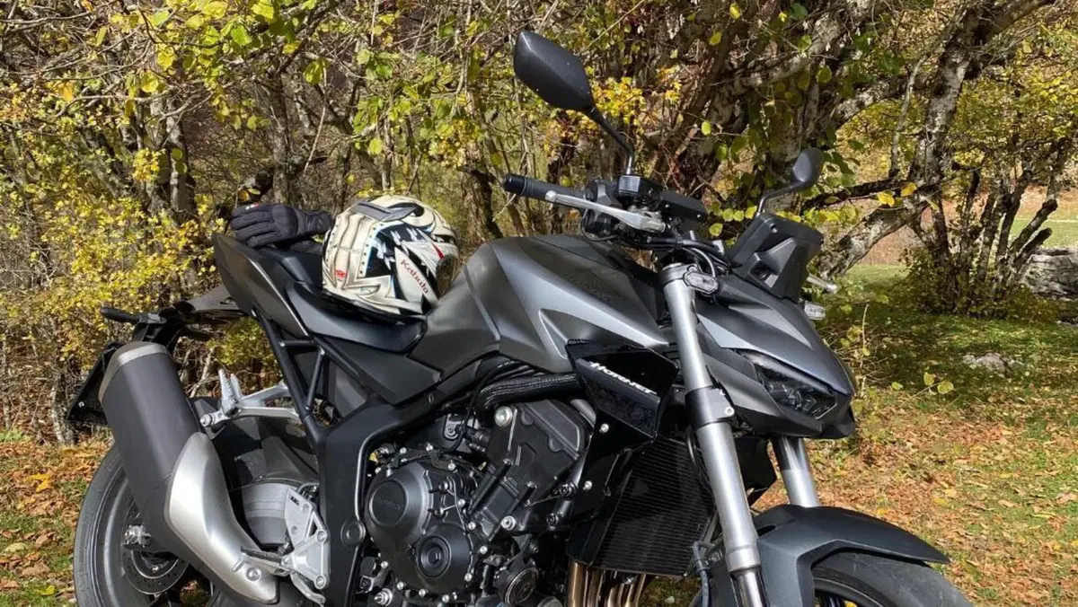 Honda CB 1000 Hornet (2025 - 26)  (3)