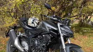 Honda CB 1000 Hornet (2025 - 26)  (3)