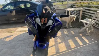 Yamaha YZF R6 (2006 - 07) usata