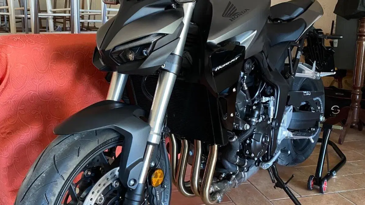 Honda CB 1000 Hornet (2025 - 26)  (4)