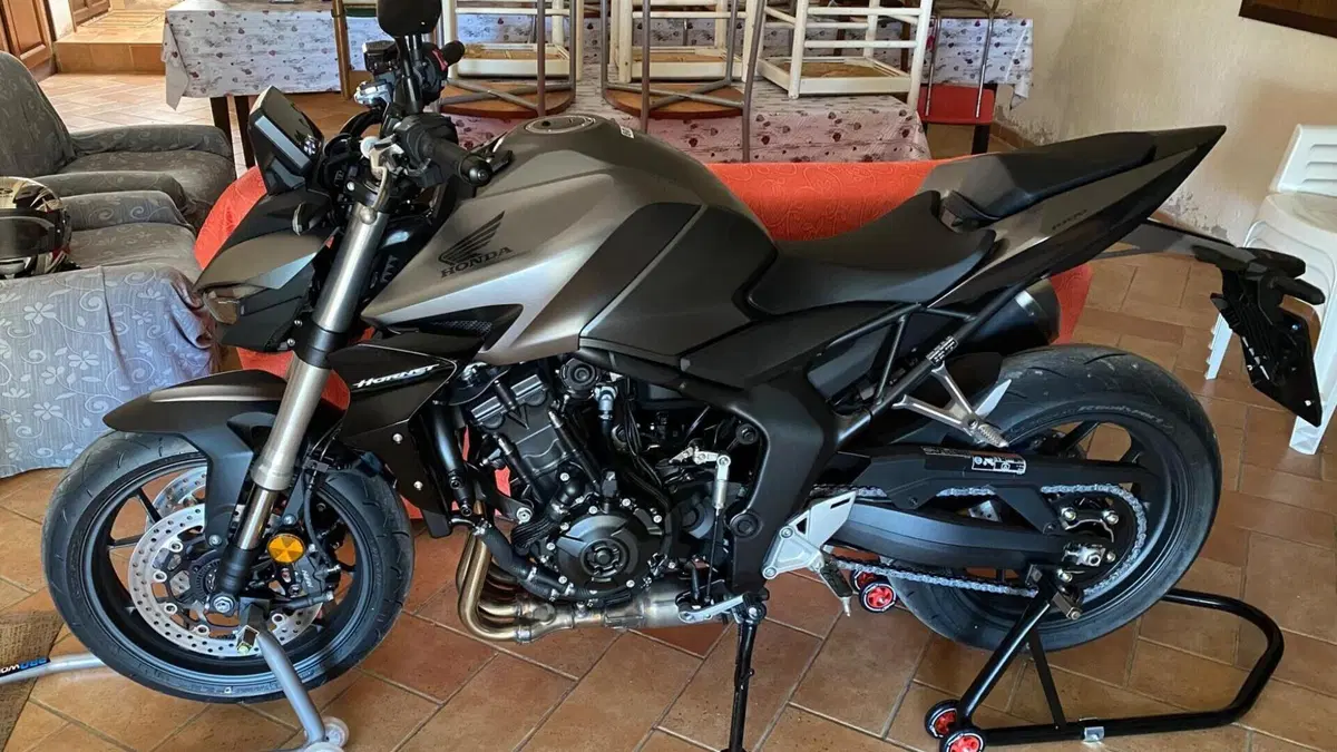 Honda CB 1000 Hornet (2025 - 26)  (5)