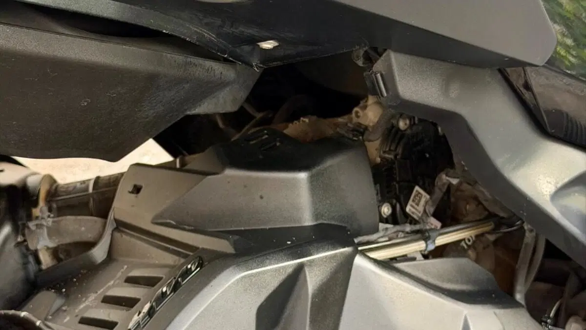 Bmw C 400 X (2021 - 24)  (2)