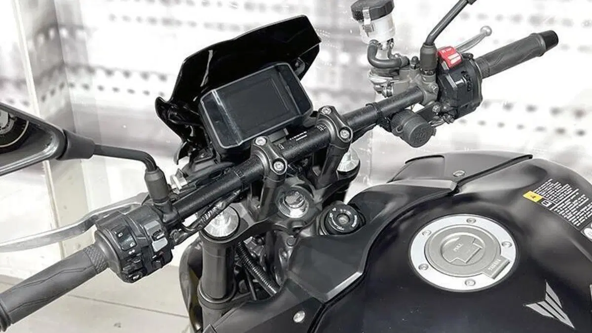 Yamaha MT-09 (2021 - 23)  (5)