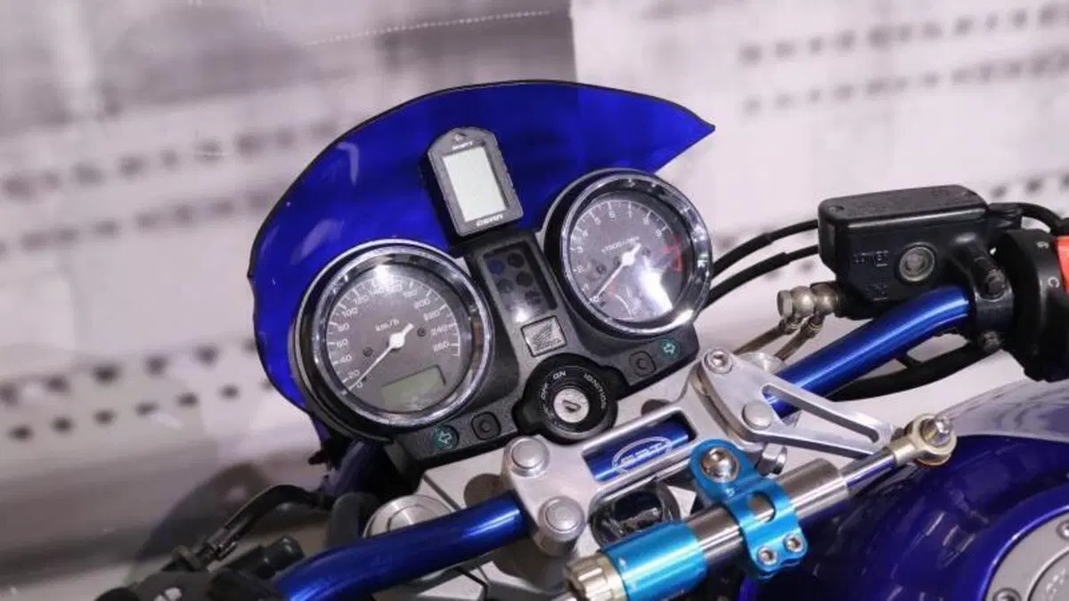 Honda Hornet 900  (6)