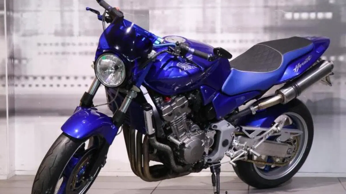 Honda Hornet 900  (7)