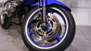 Honda Hornet 900  (9)