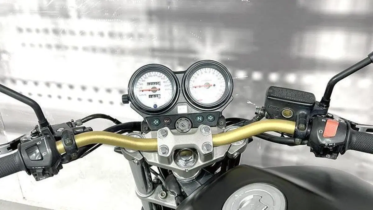 Honda Hornet 600 (1998 - 00)  (6)