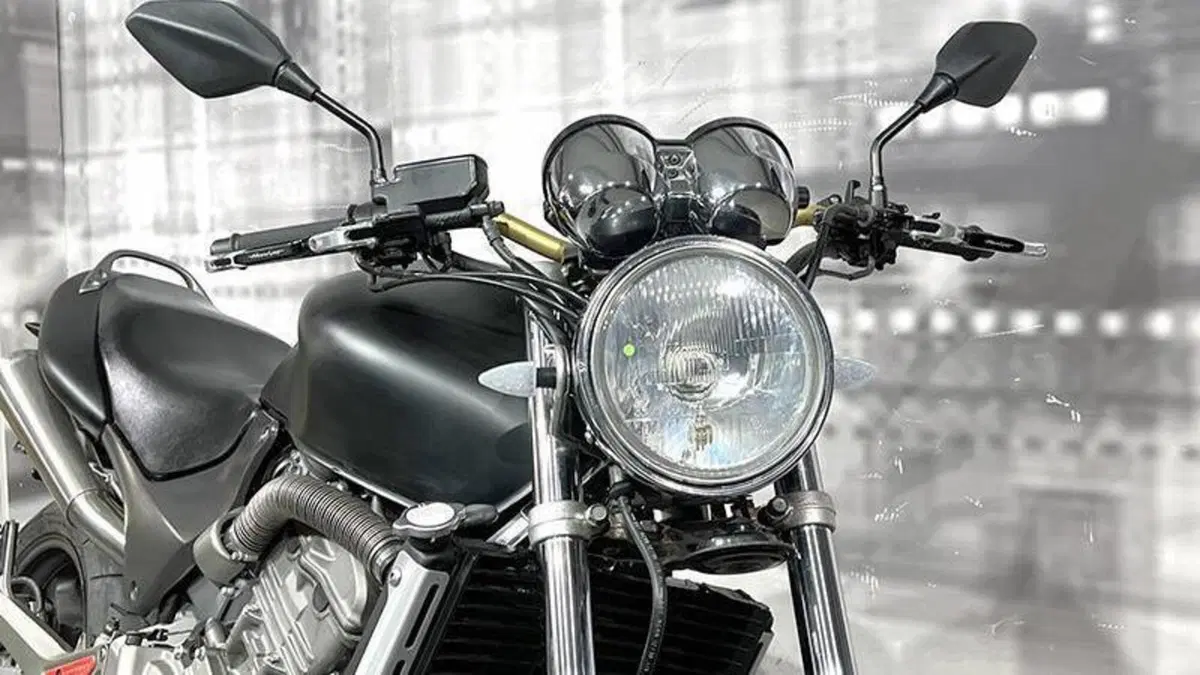 Honda Hornet 600 (1998 - 00)  (9)
