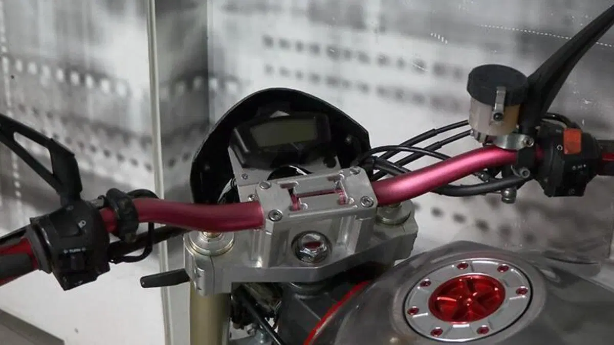 Honda Hornet 900  (6)