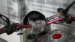 Honda Hornet 900  (6)
