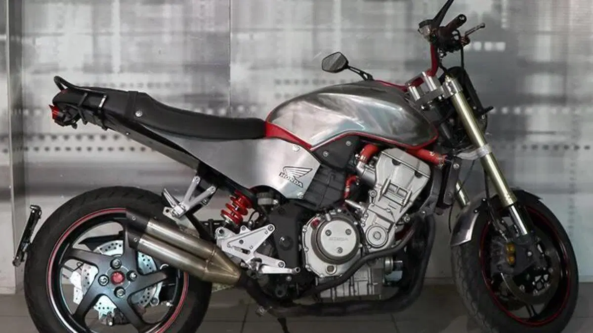 Honda Hornet 900  (8)