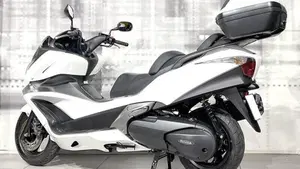 Honda SW-T 400 (2009 - 16)  (2)