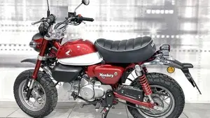 Honda Monkey 125 (2018 - 20)  (2)