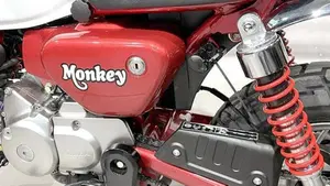 Honda Monkey 125 (2018 - 20)  (5)