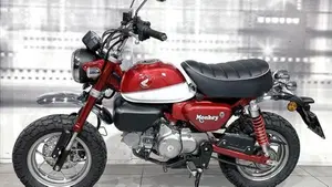 Honda Monkey 125 (2018 - 20)  (7)