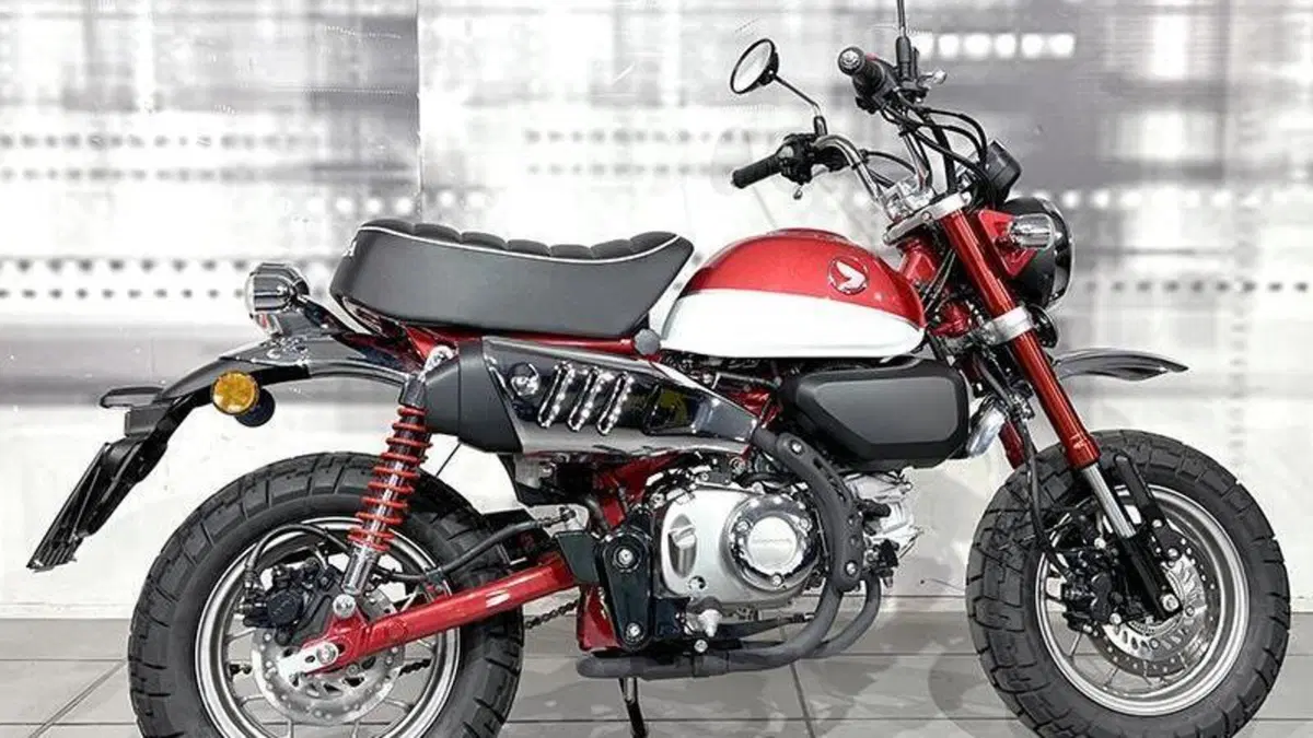 Honda Monkey 125 (2018 - 20)  (8)