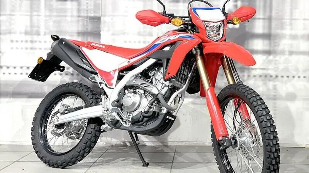 Honda CRF 300L (2021 - 24) 