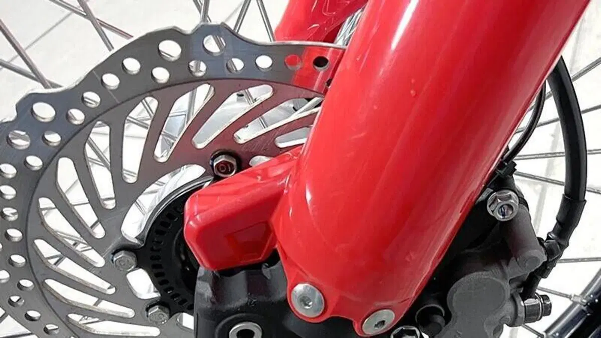 Honda CRF 300L (2021 - 24)  (4)