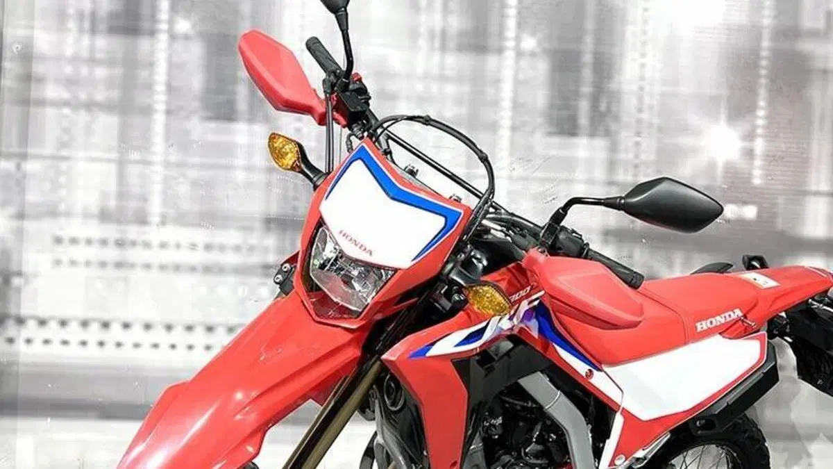 Honda CRF 300L (2021 - 24)  (5)