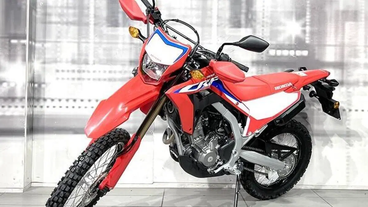 Honda CRF 300L (2021 - 24)  (7)