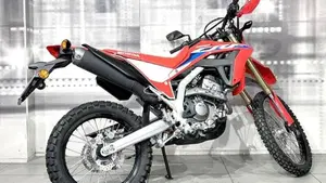 Honda CRF 300L (2021 - 24)  (8)