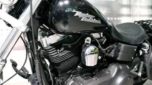 Harley-Davidson 1584 Street Bob (2007) - FXDB  (4)