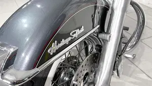 Harley-Davidson 1340 Heritage Special (1993 - 96)  (3)