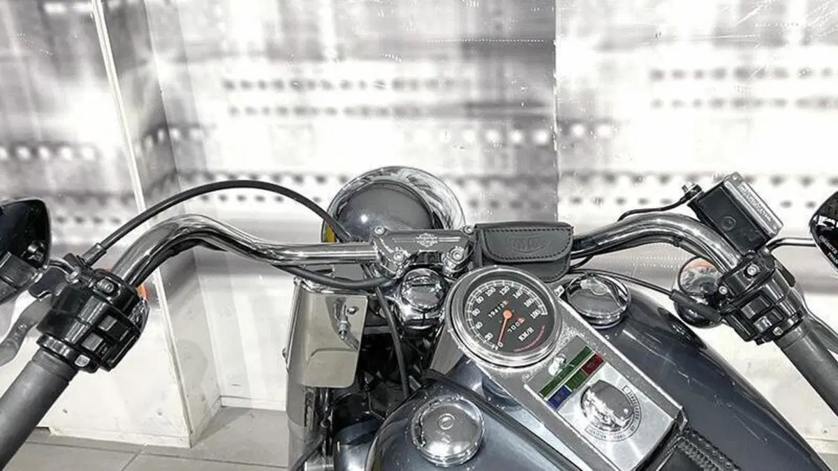 Harley-Davidson 1340 Heritage Special (1993 - 96)  (6)