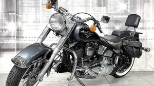 Harley-Davidson 1340 Heritage Special (1993 - 96)  (7)