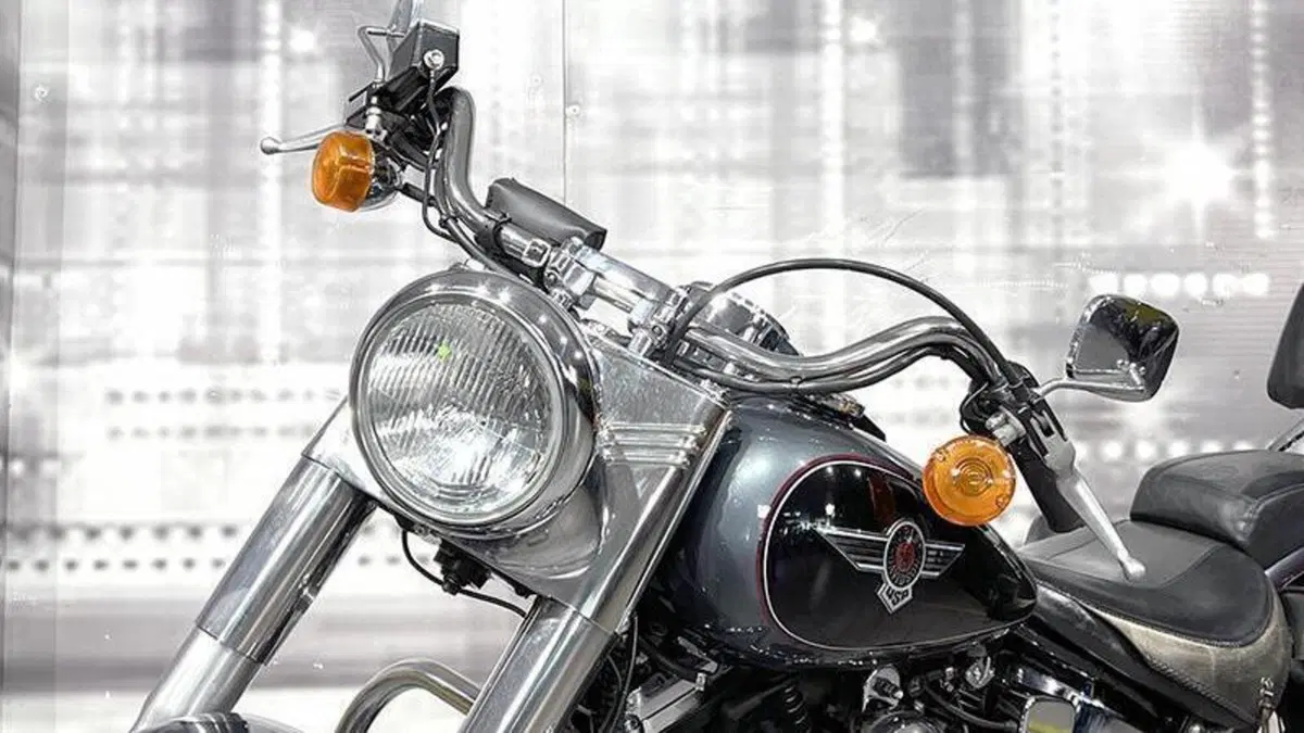 Harley-Davidson 1340 Heritage Special (1993 - 96)  (9)